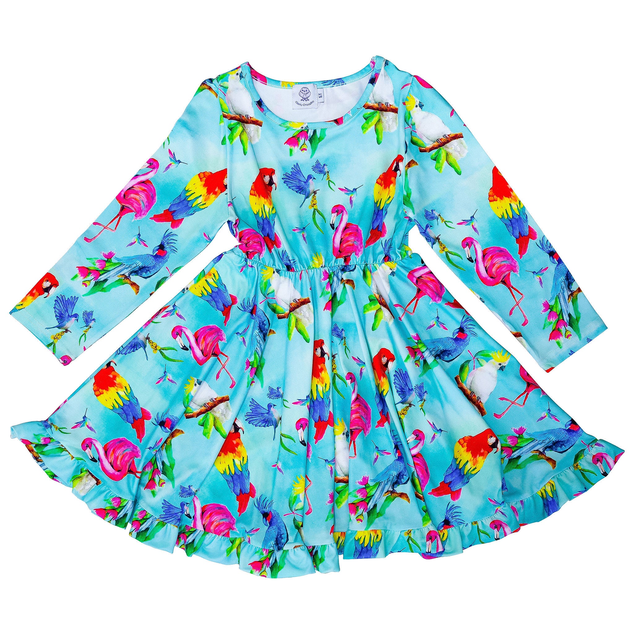 Fancy Flock Long Sleeve Twirl Dress - Cheeky Chickadee Store