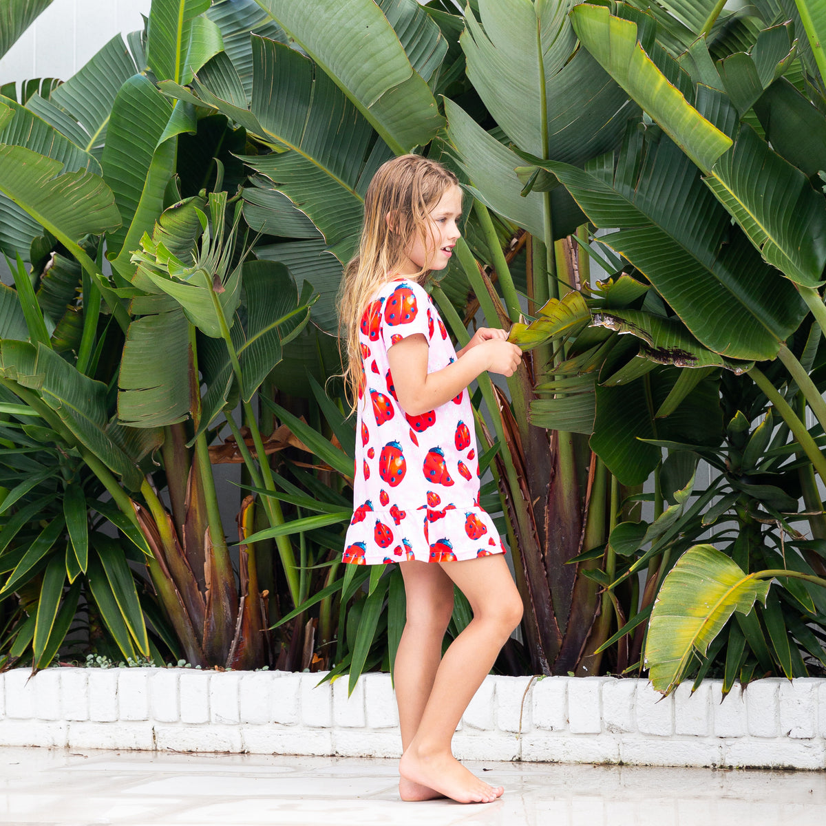 Ladybugs Frill Dress - Cheeky Chickadee Store