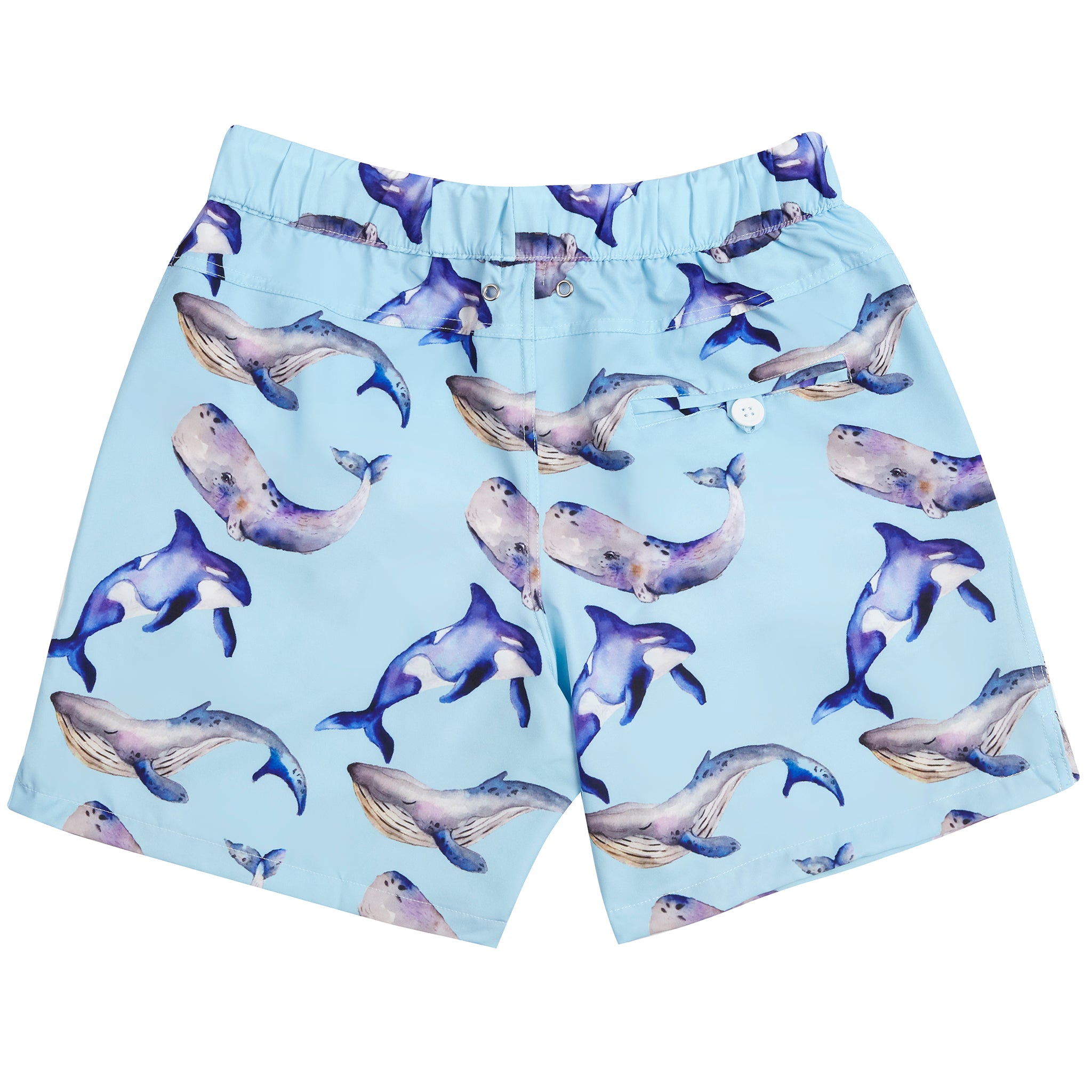 Whales Men's Boardshorts - Cheeky Chickadee Store