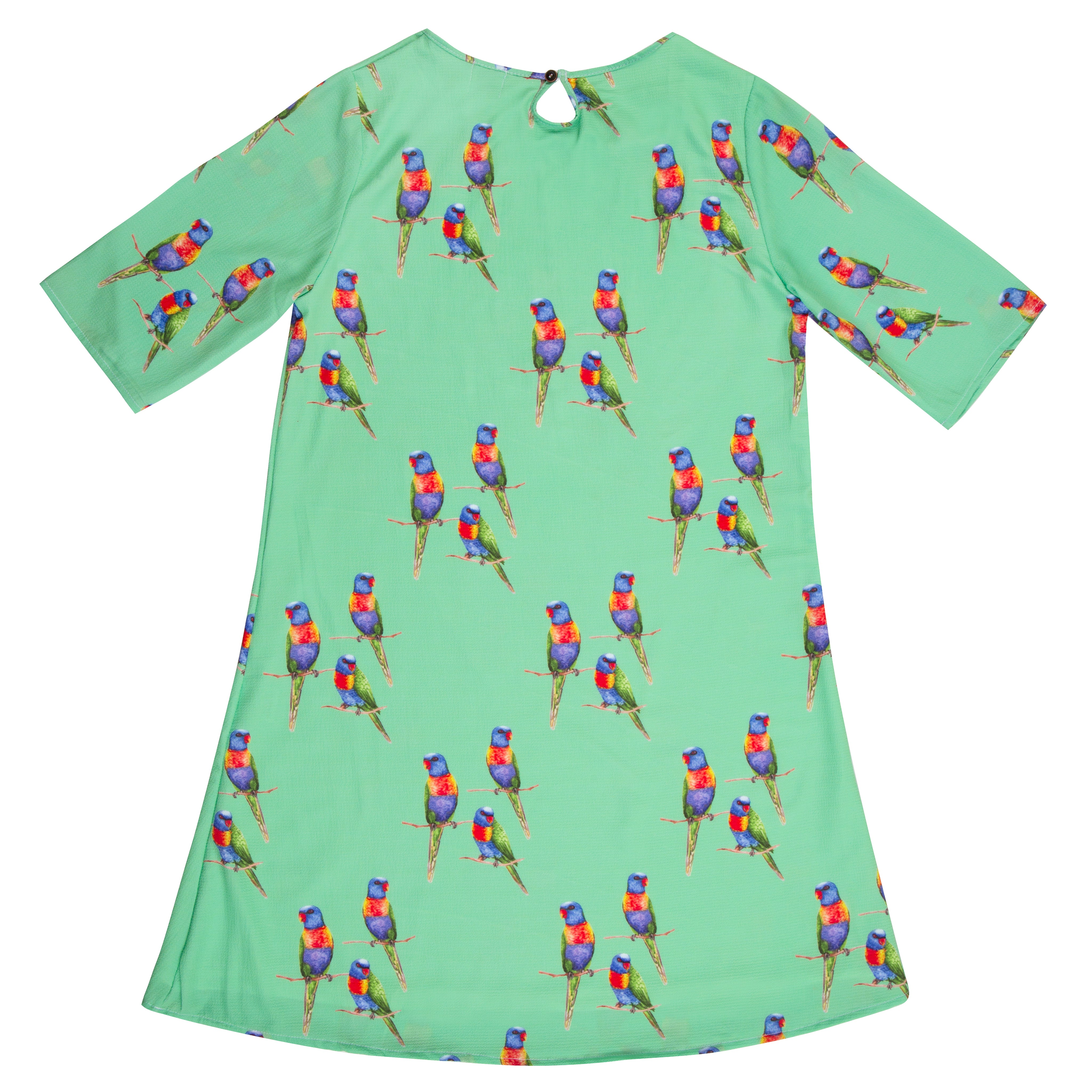 Green Rainbow Lorikeet Women's Shift Dress - Cheeky Chickadee Store