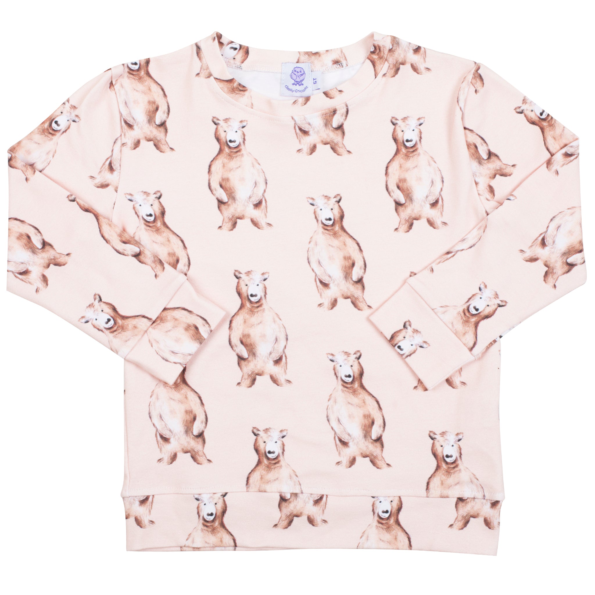 Bear Cotton Pullover - Cheeky Chickadee Store